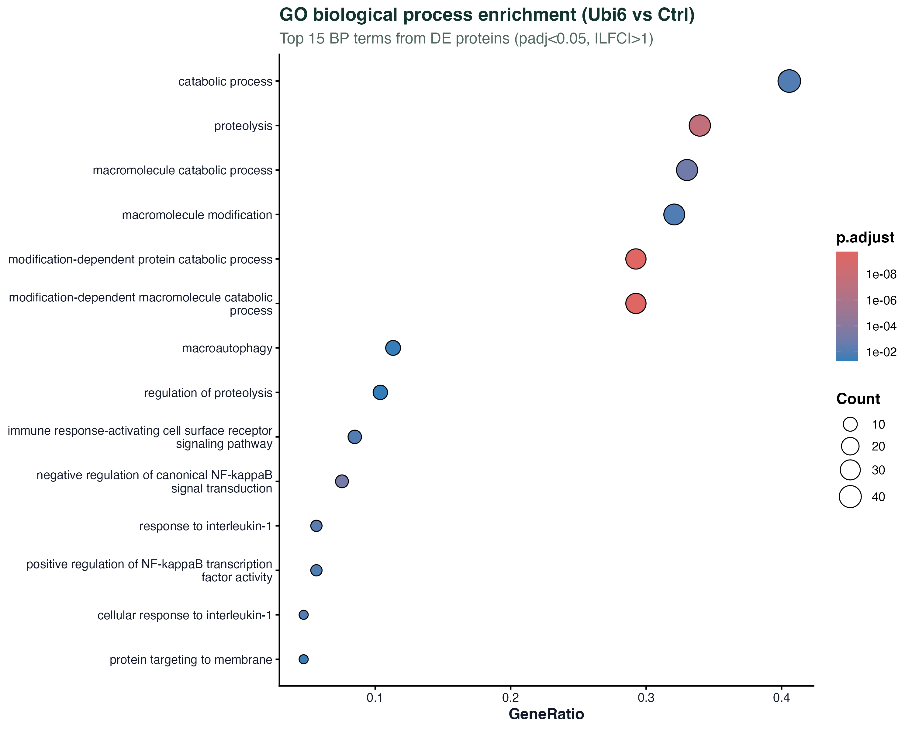 GO BP dotplot