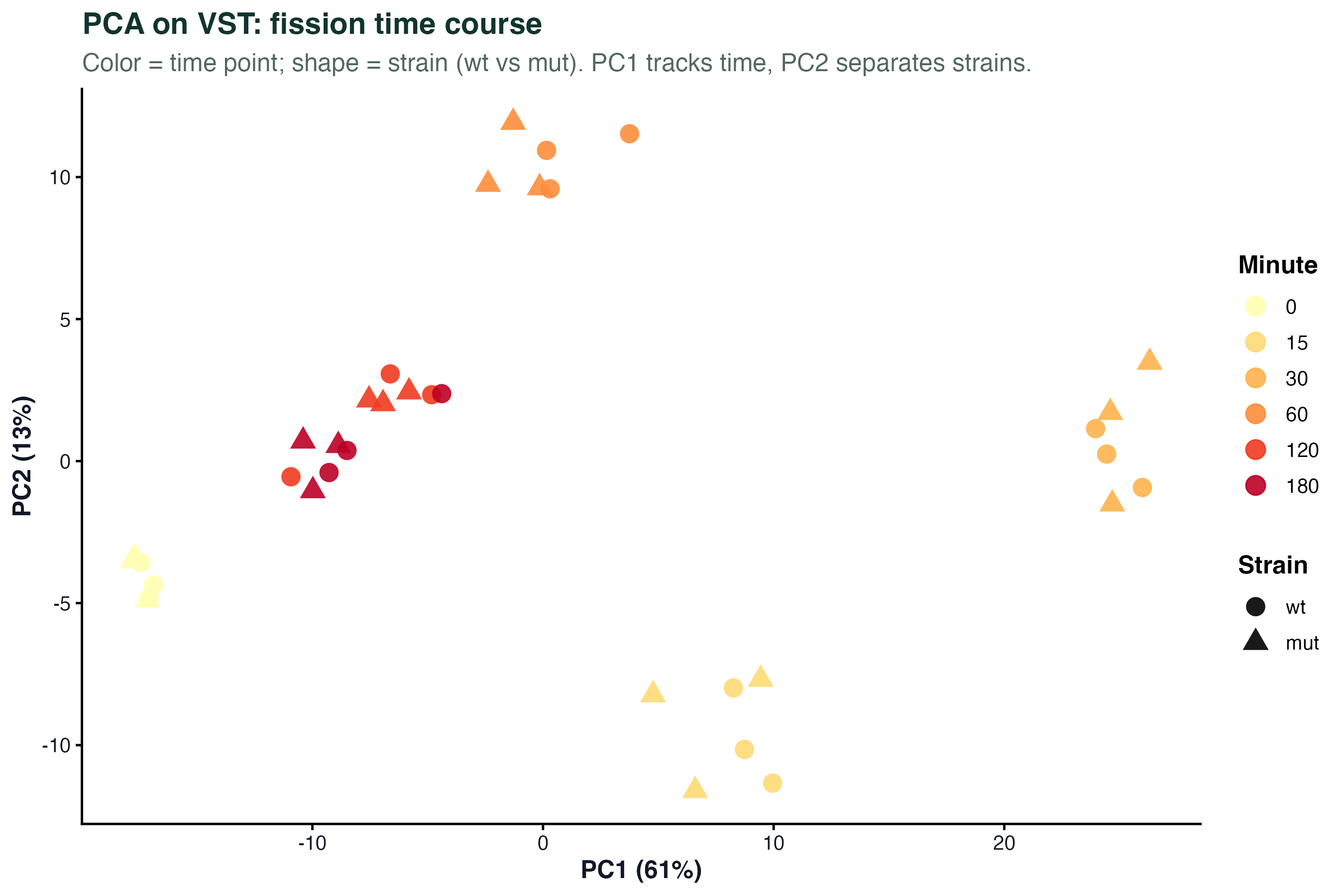 PCA on VST time course
