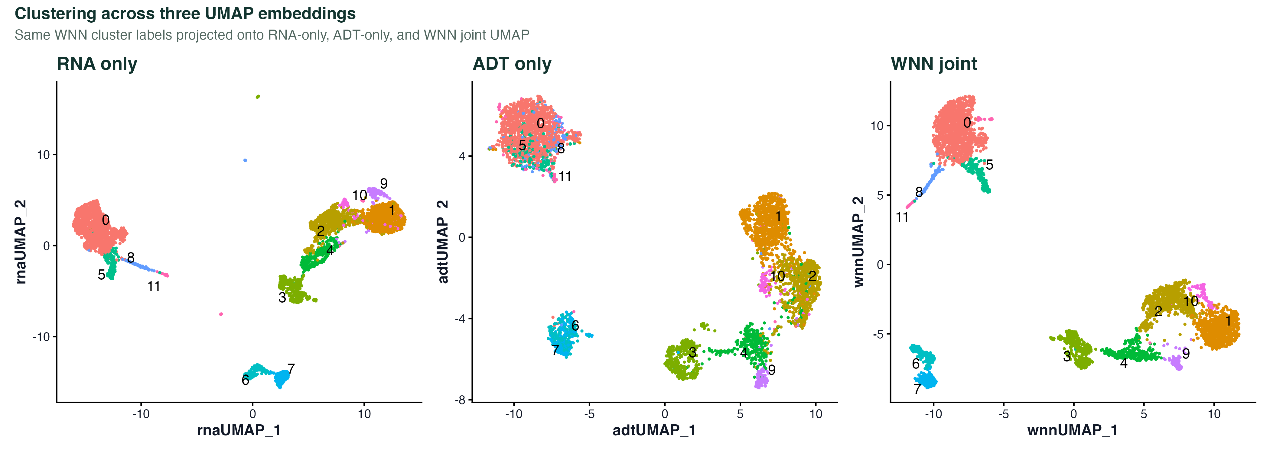 三种 UMAP 对比
