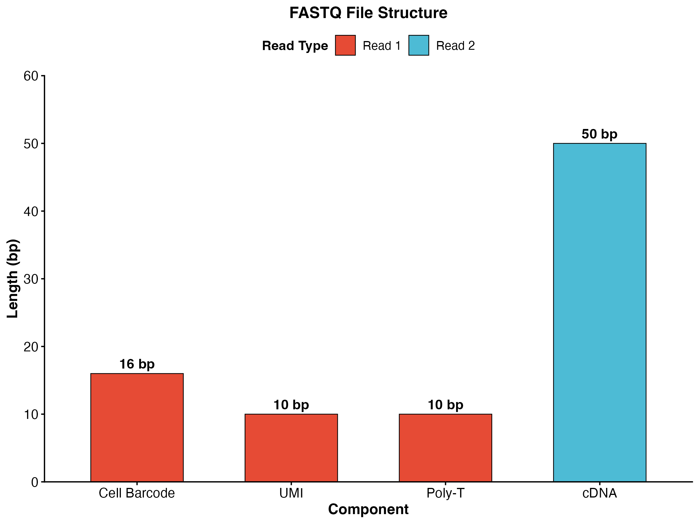 FASTQ 文件结构