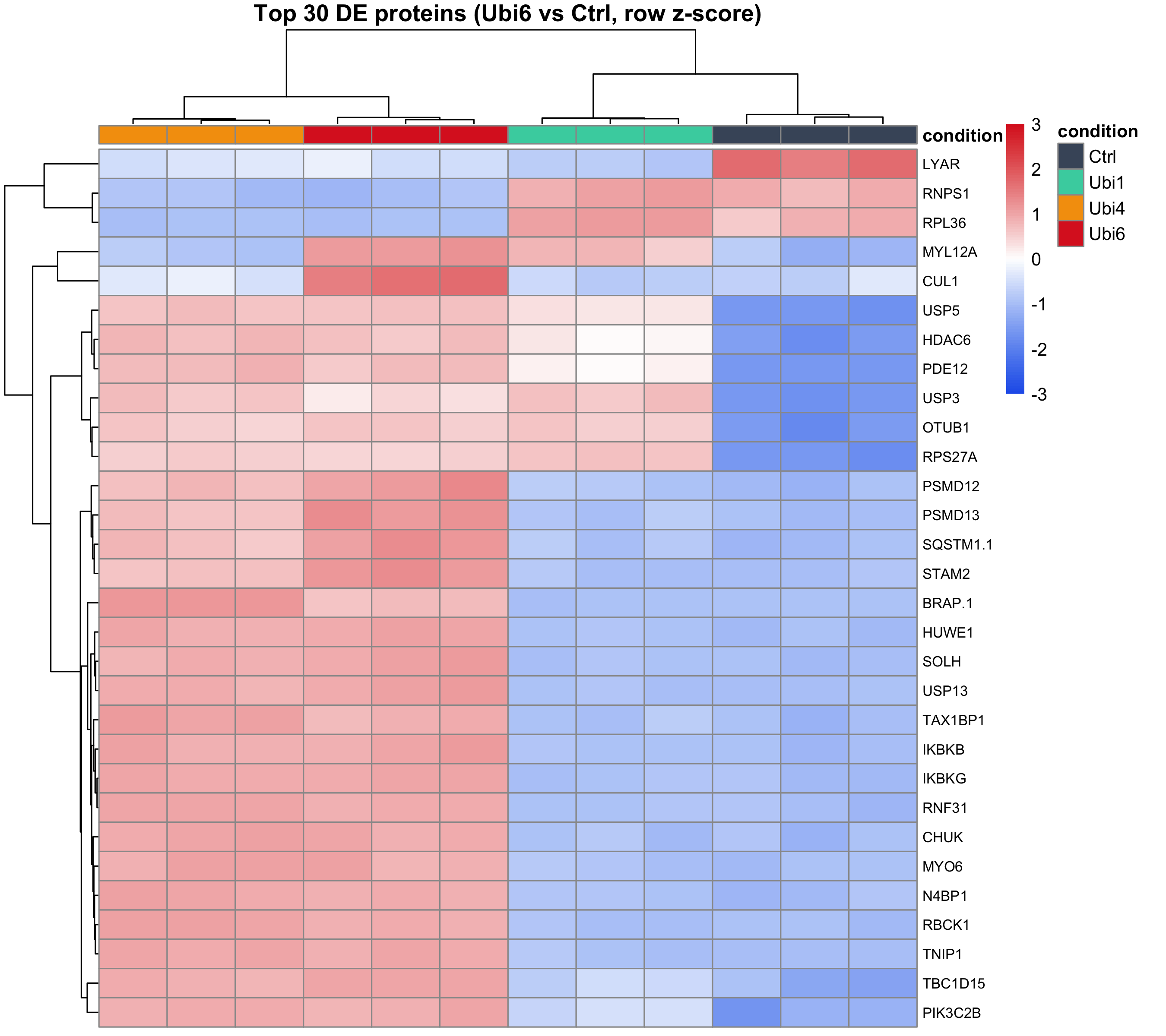 Heatmap top 30 DE