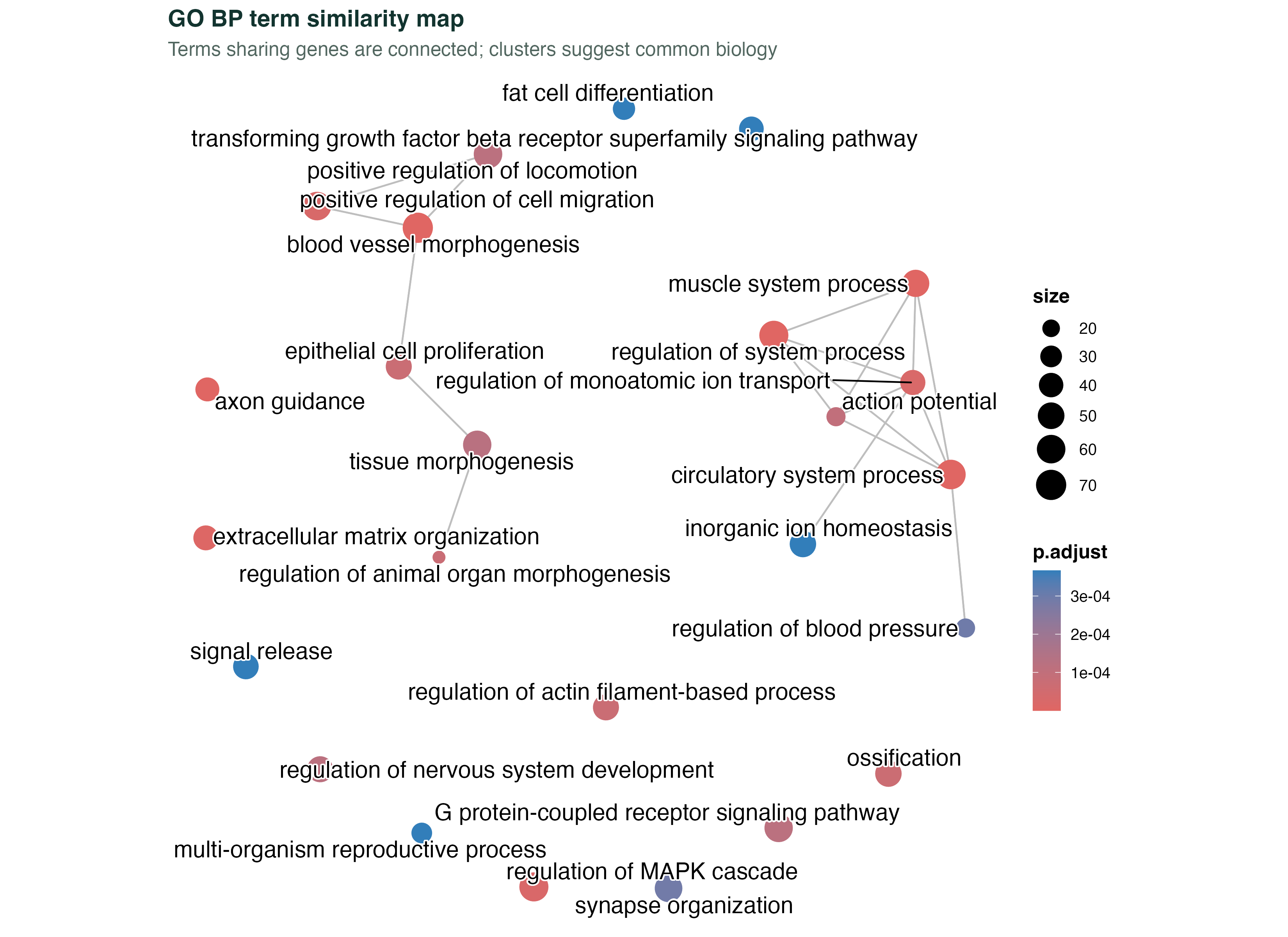 GO term similarity map