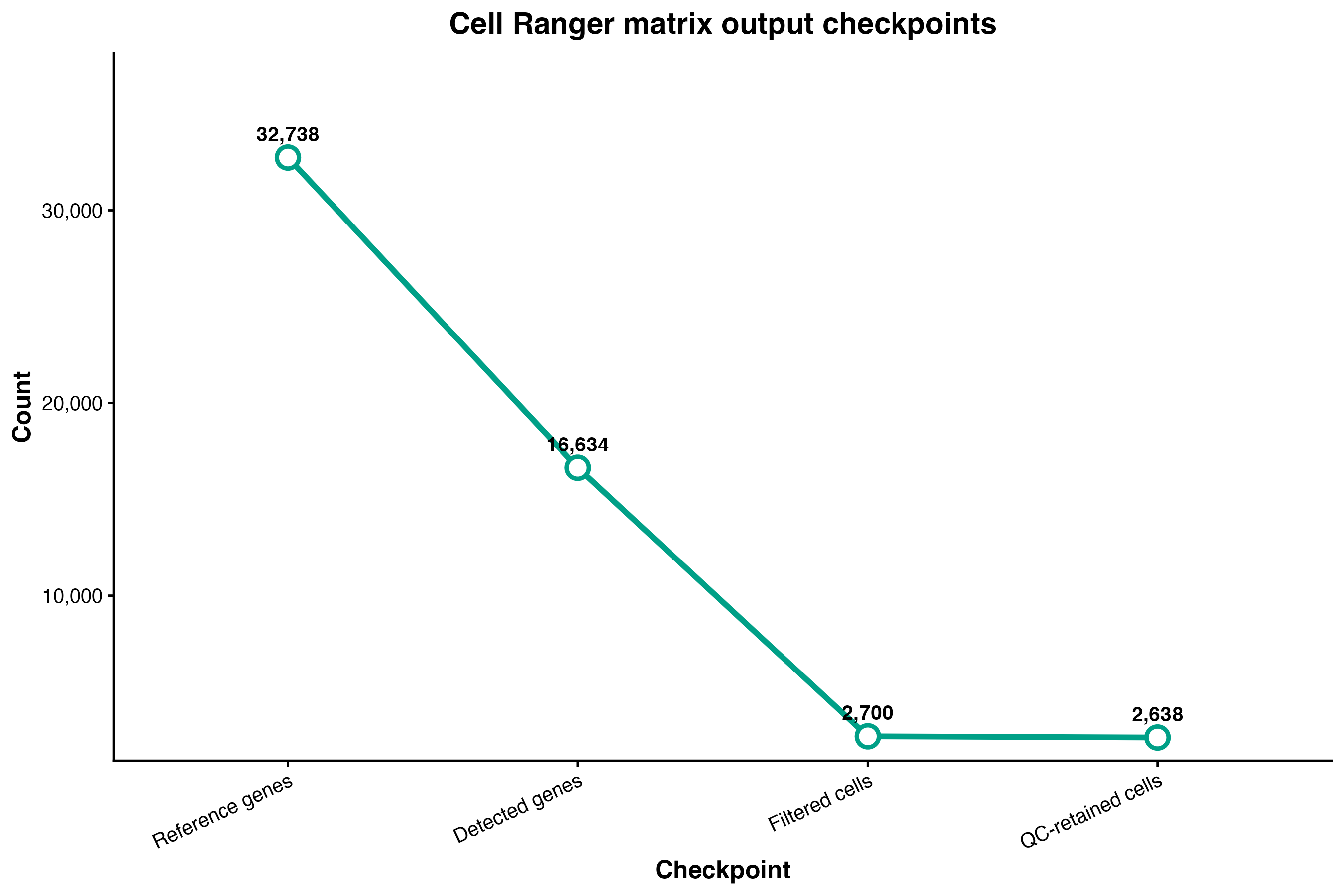 Cell Ranger 处理流程