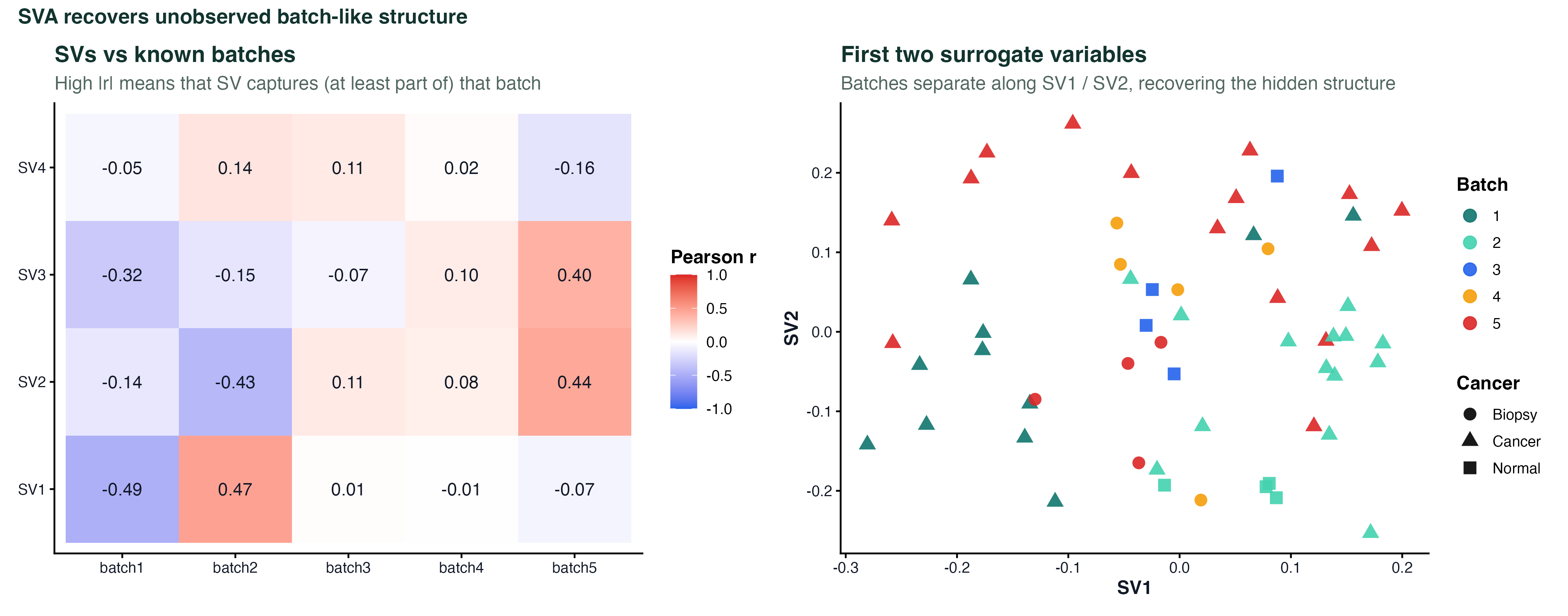 SVA captures hidden batch-like structure