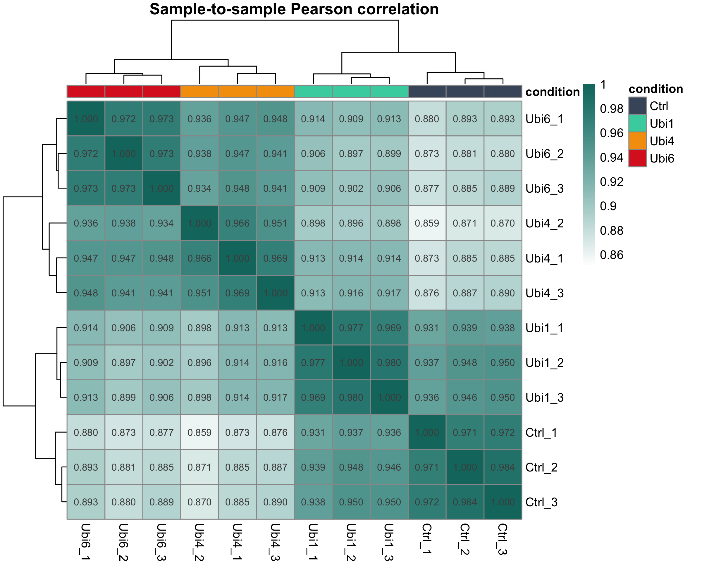 Sample correlation heatmap