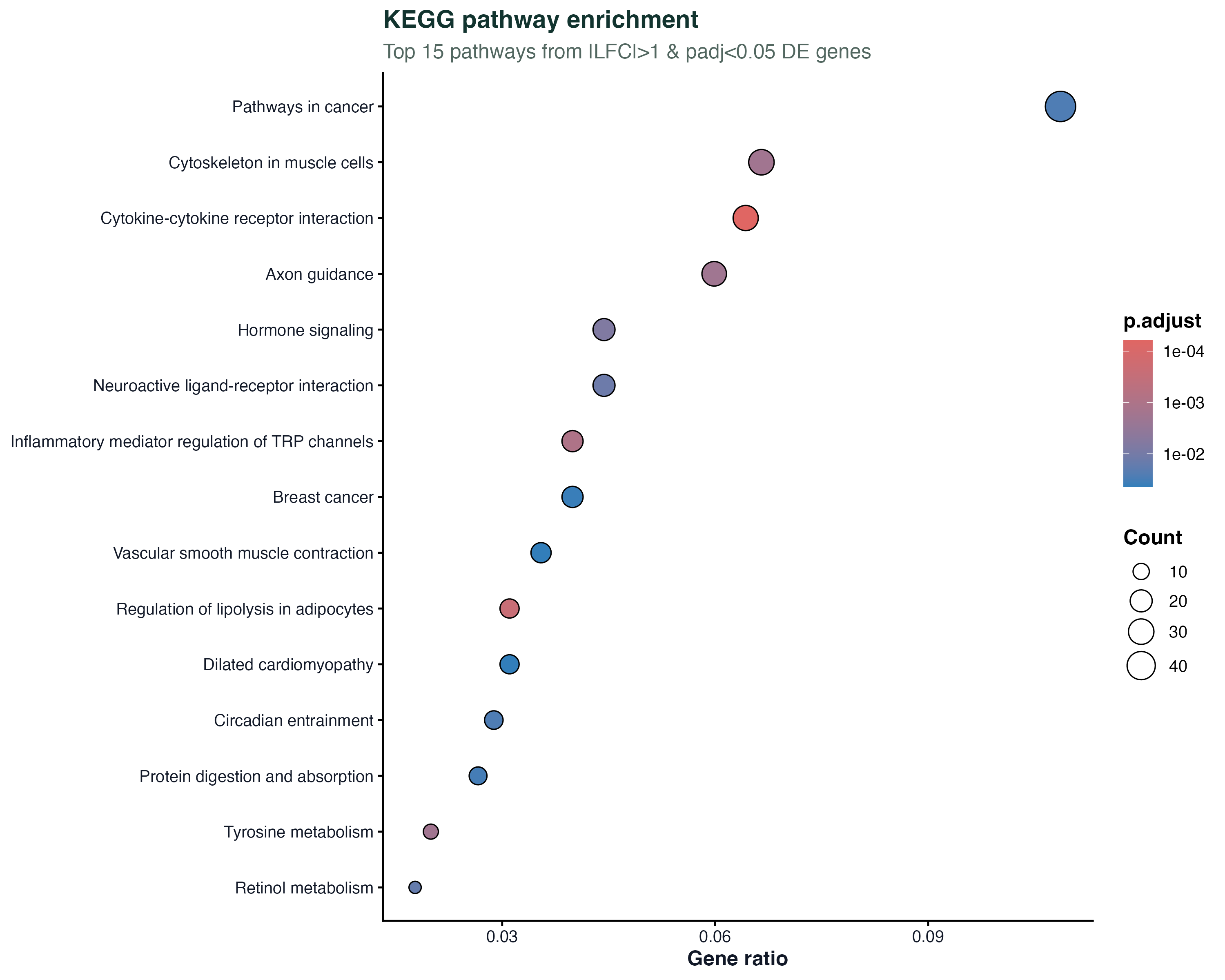 KEGG pathway enrichment