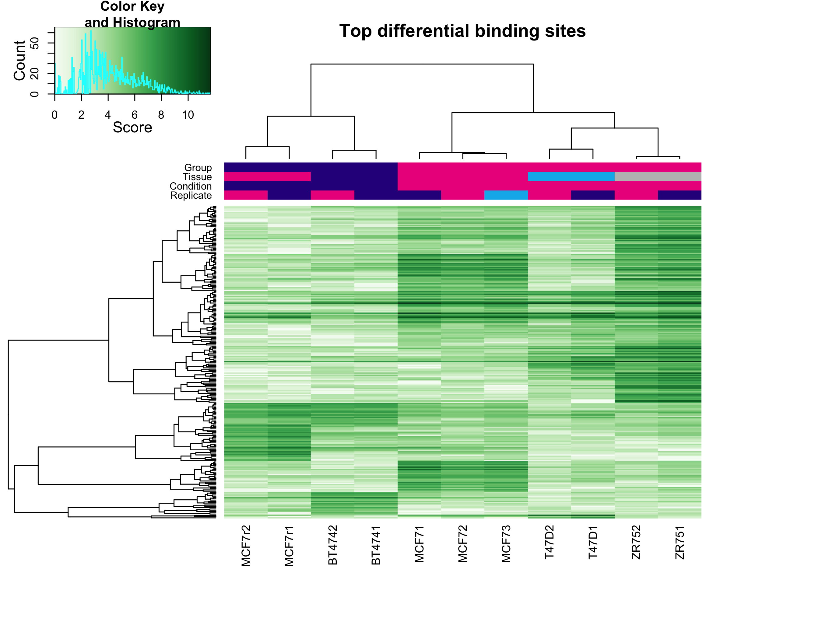 DB heatmap