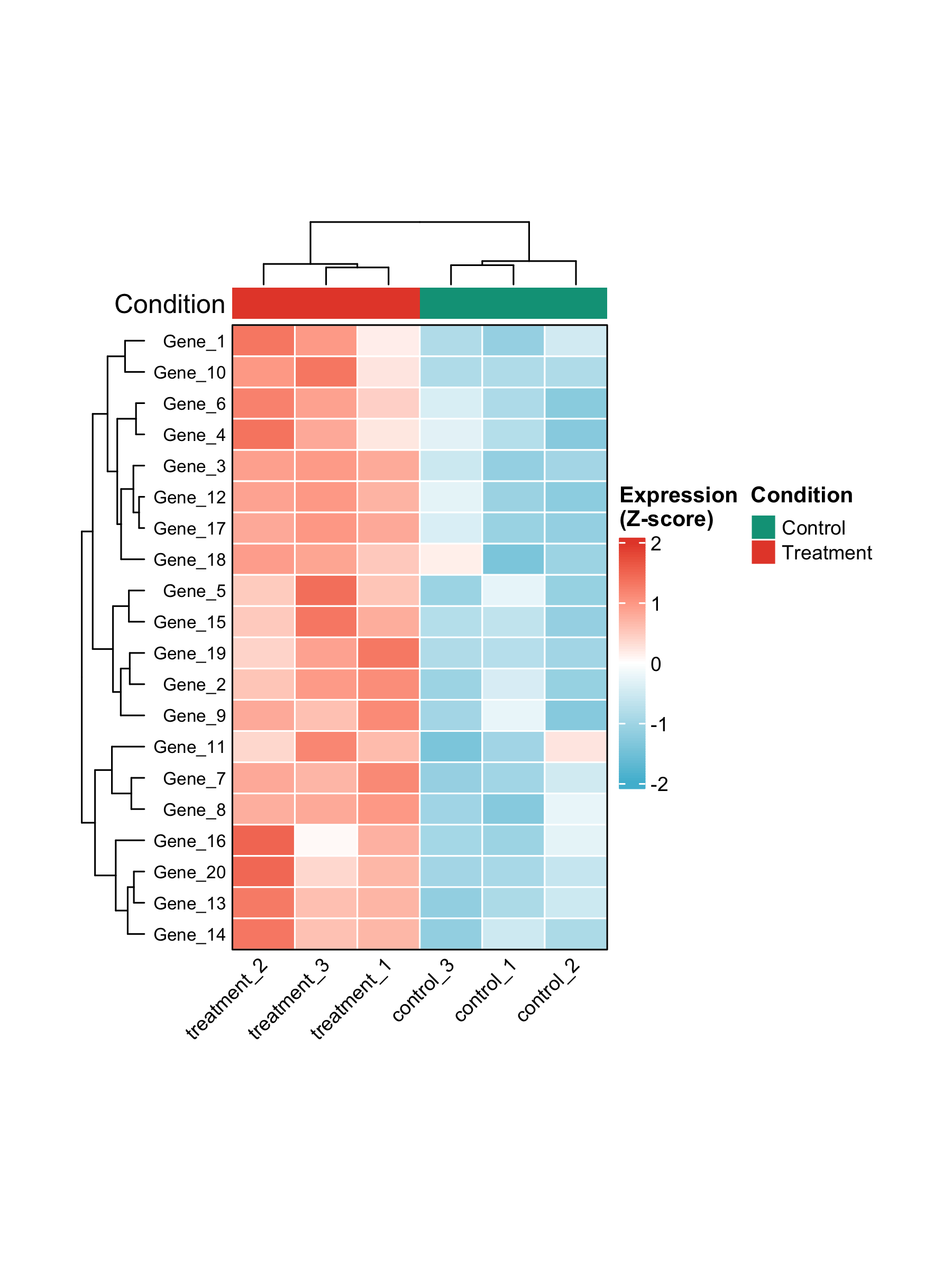 Gene expression heatmap