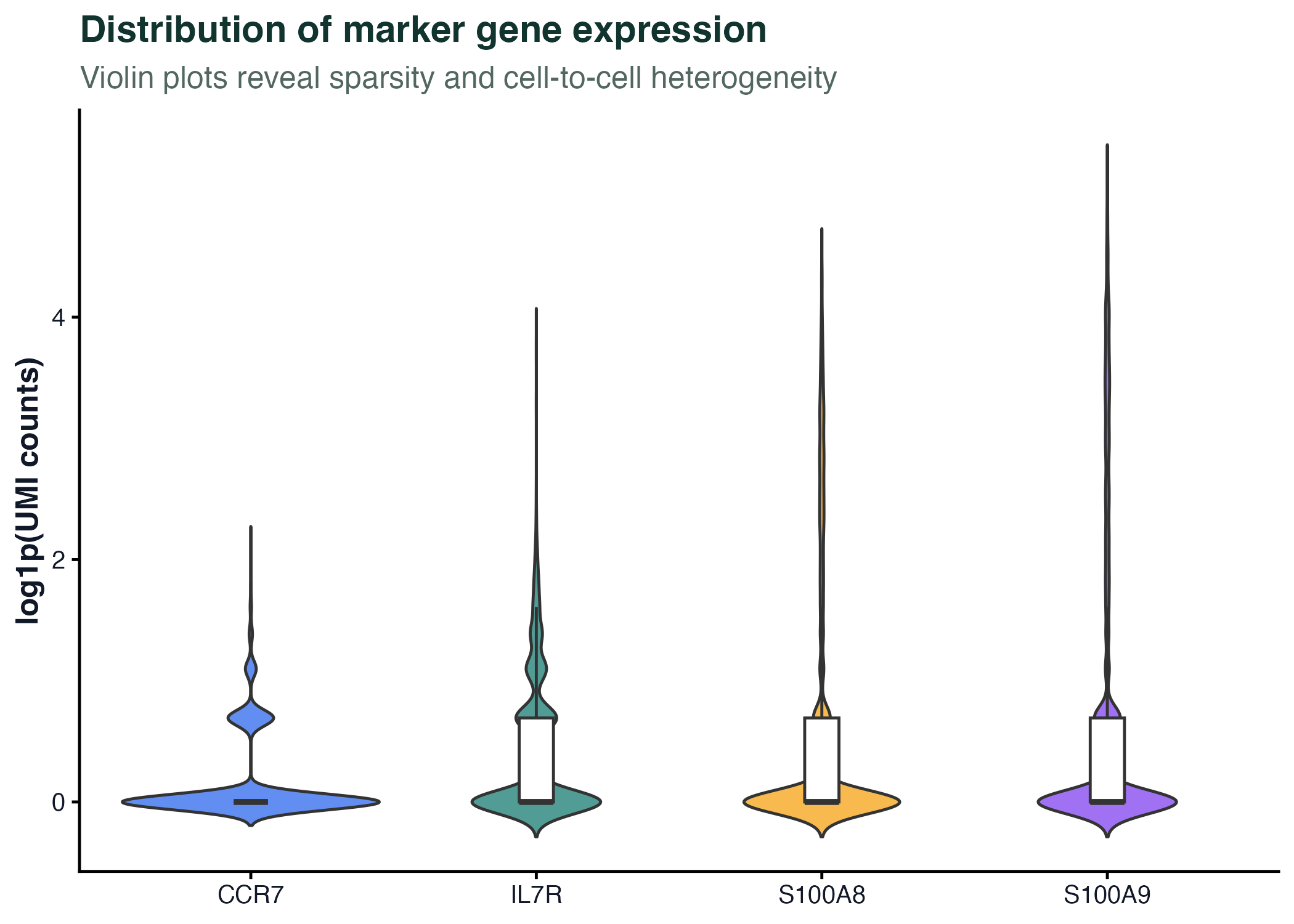 Violin plot - PBMC 3k marker distributions