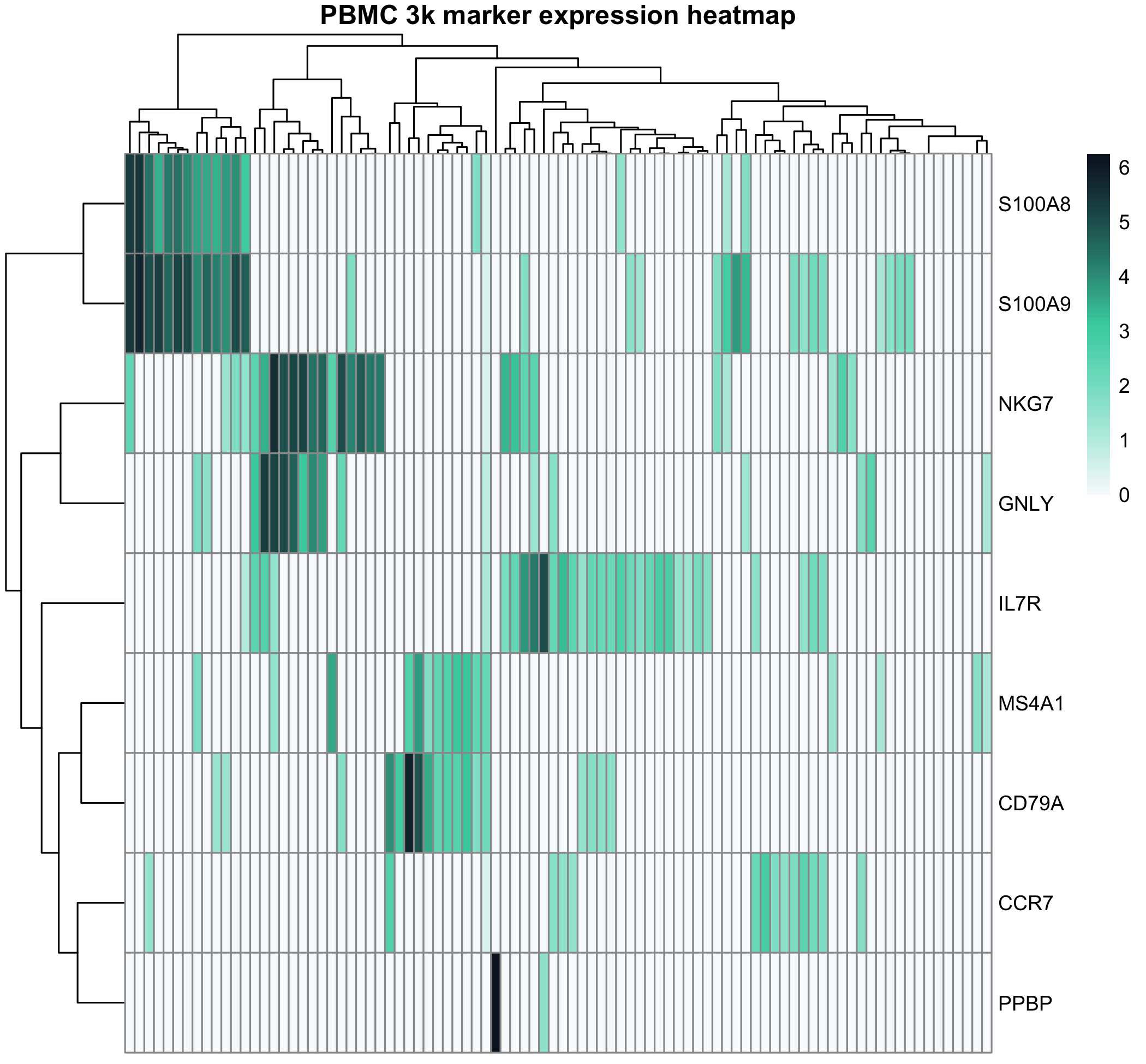 Gene expression heatmap