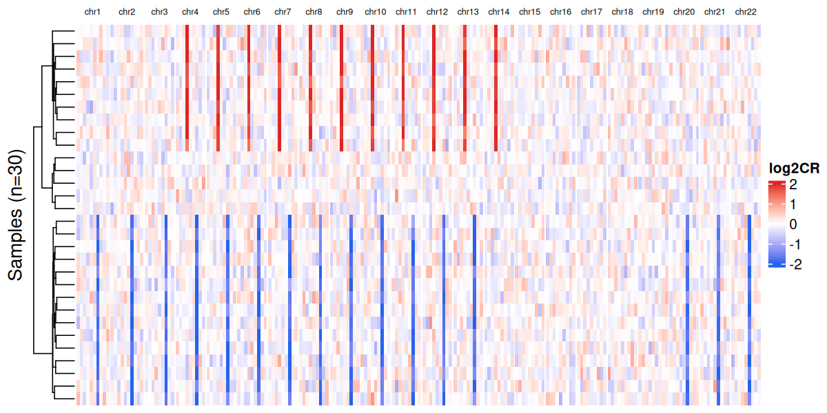 CNV Heatmap