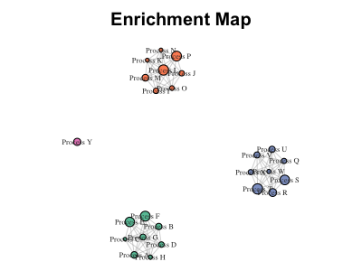 Enrichment Map