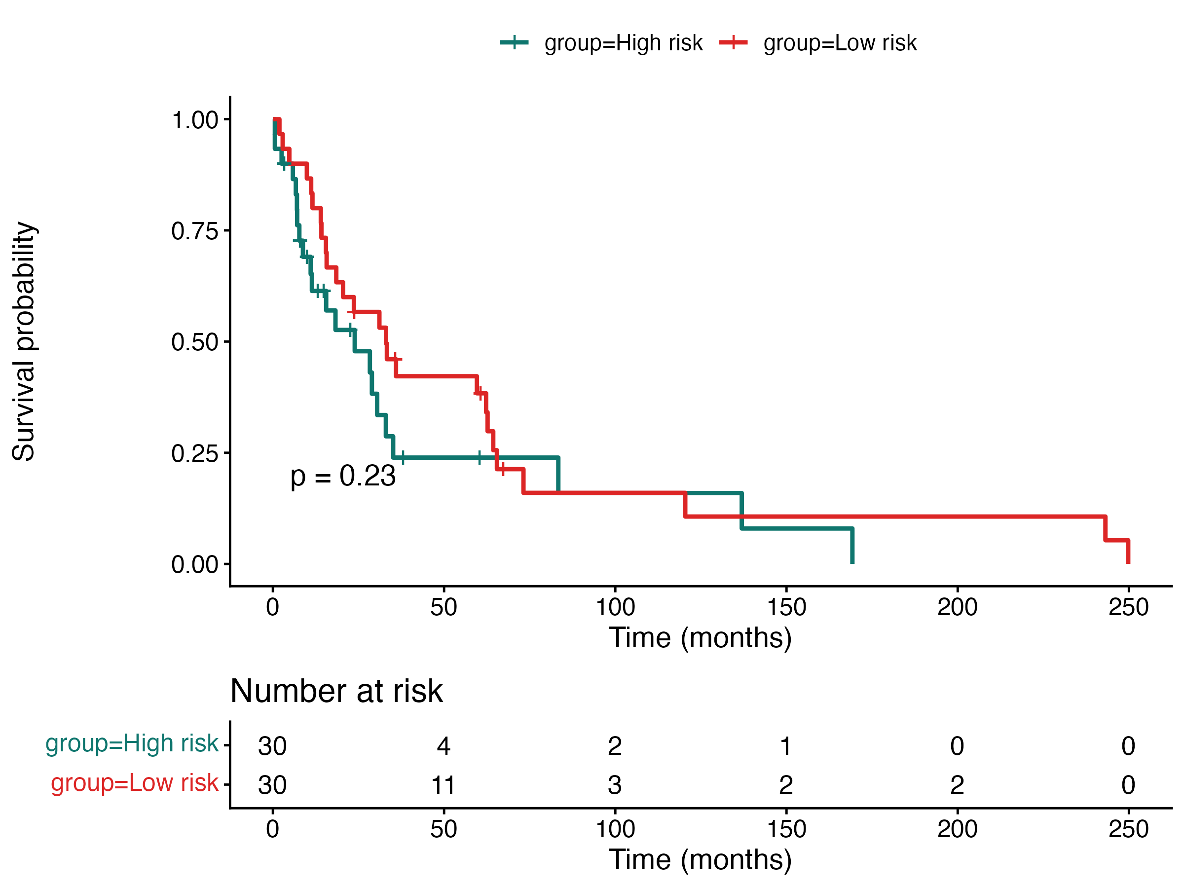 KM Survival Curve