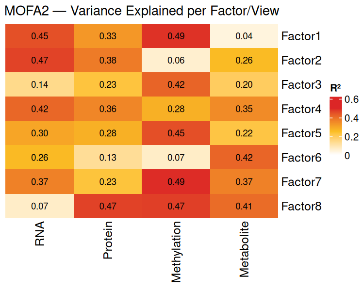MOFA Factor Loadings