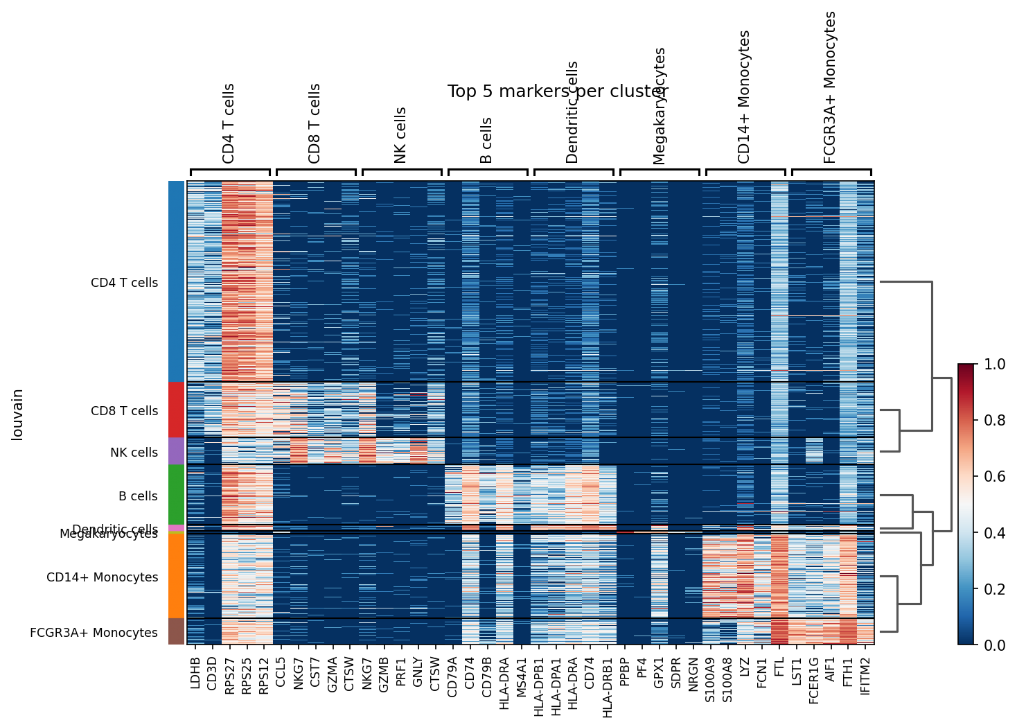 Scanpy Rank Heatmap