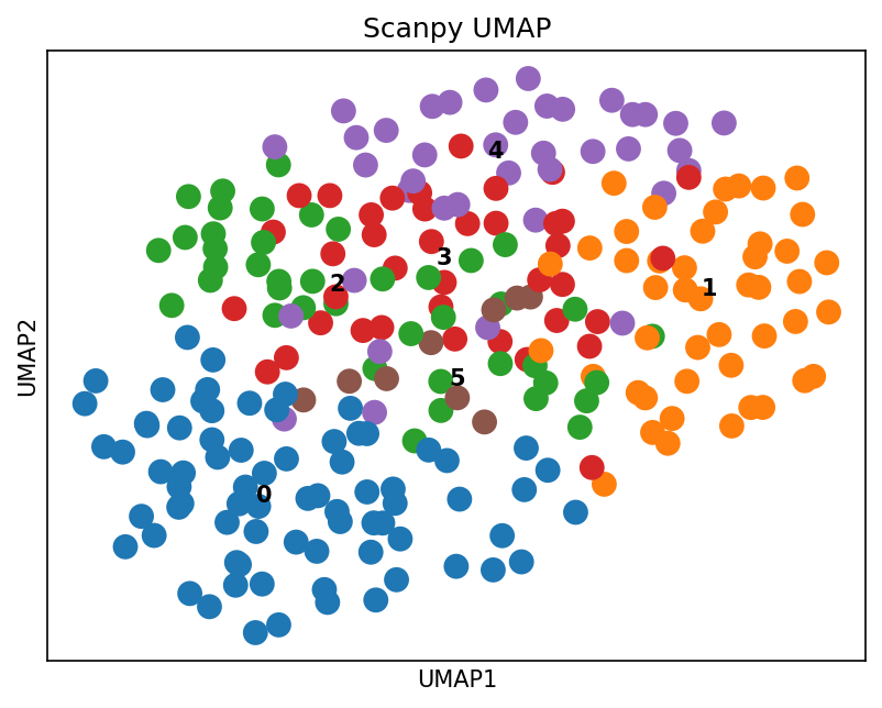 Scanpy UMAP