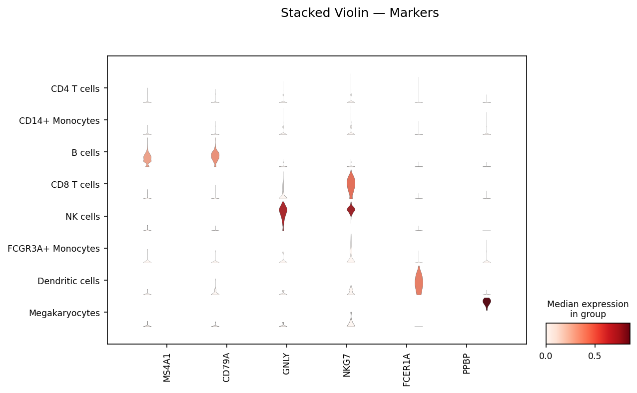 Scanpy Stacked Violin