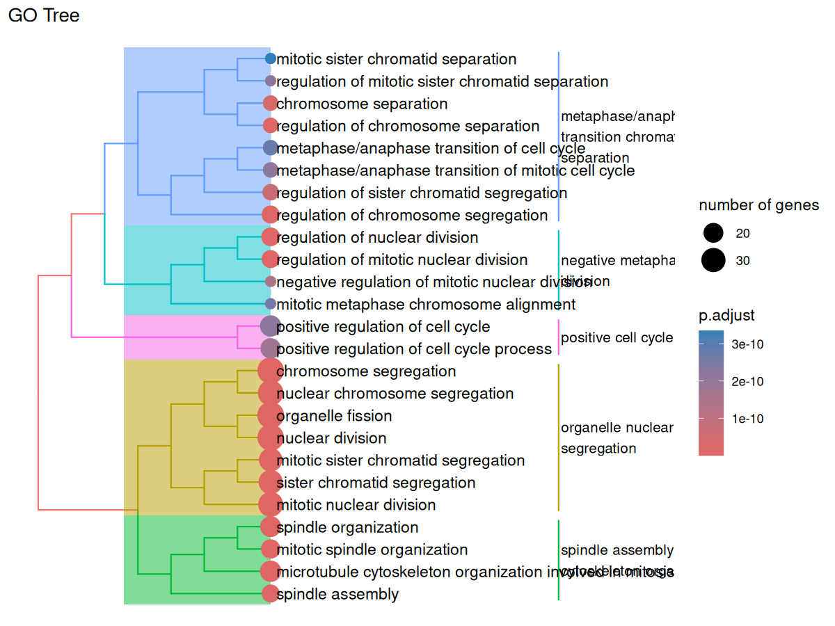 Reactome Pathway Tree