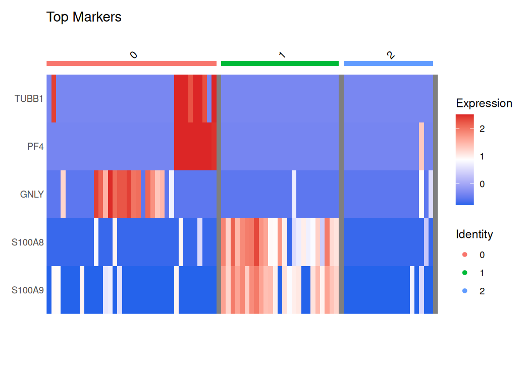 Cluster DEG Heatmap