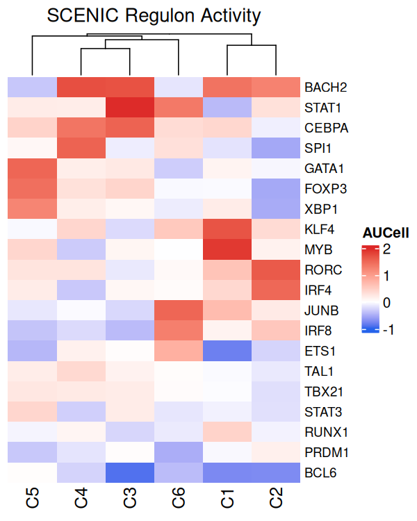 SCENIC Regulon Heatmap