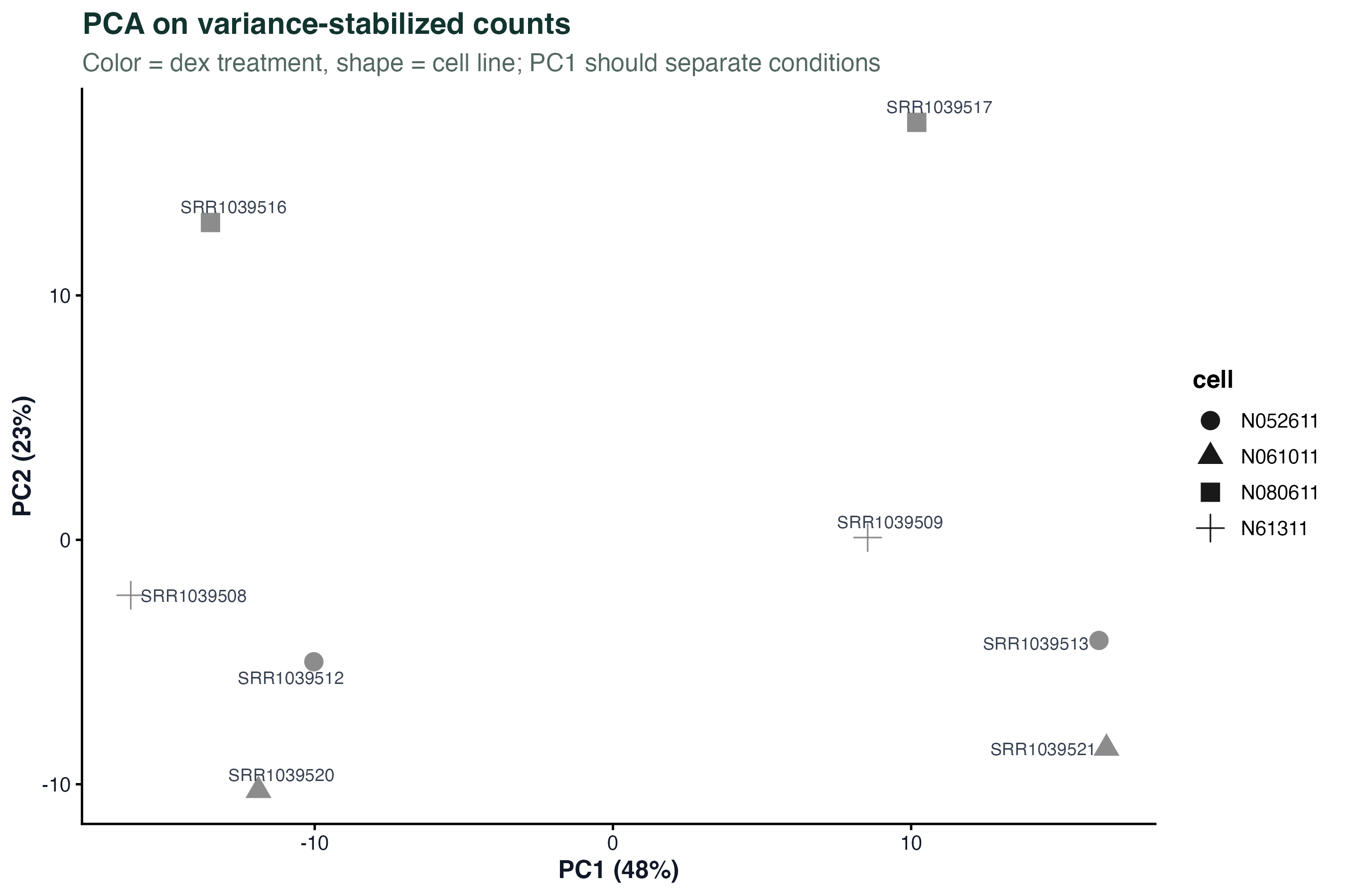 PCA Scatter