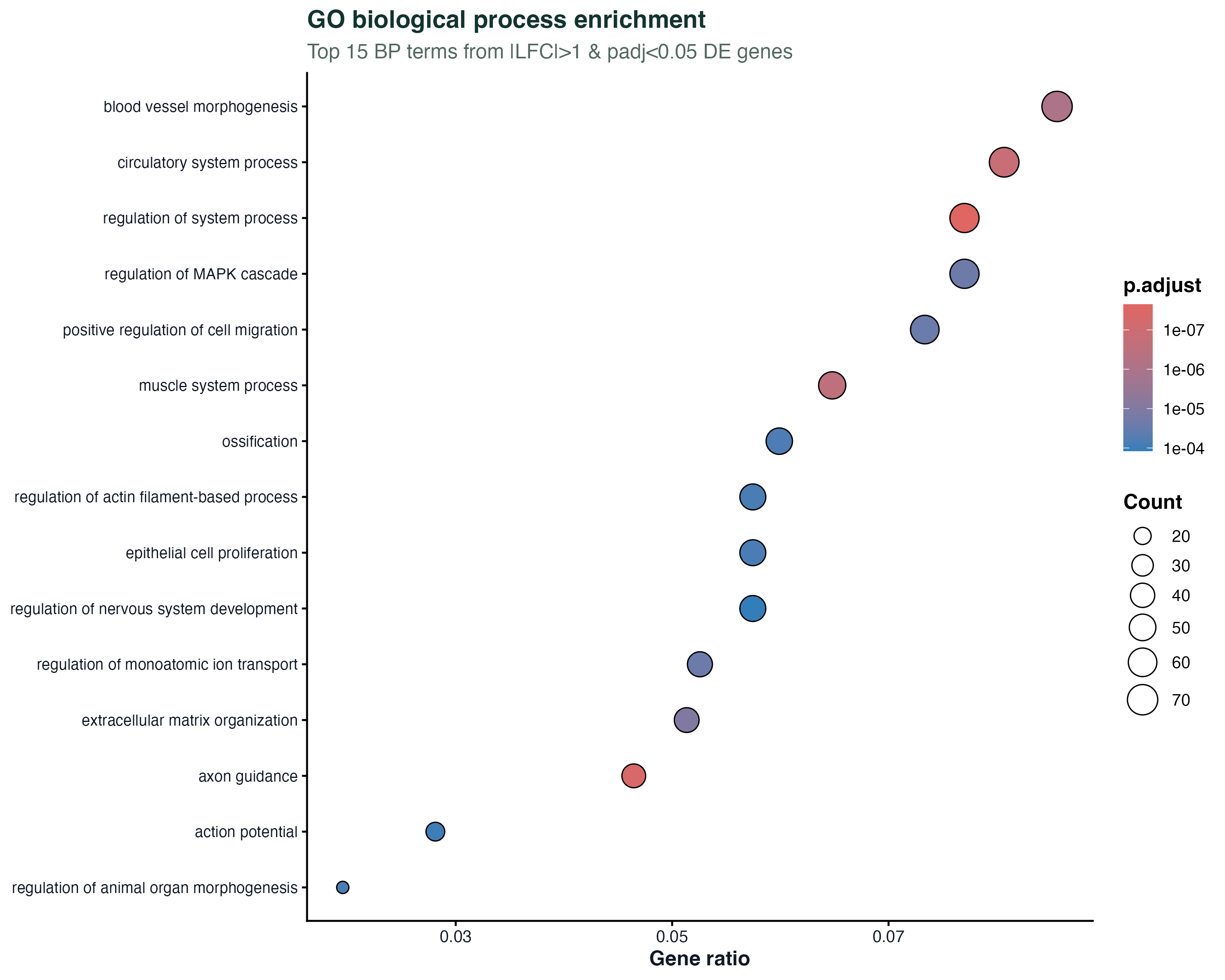GO/KEGG Dotplot