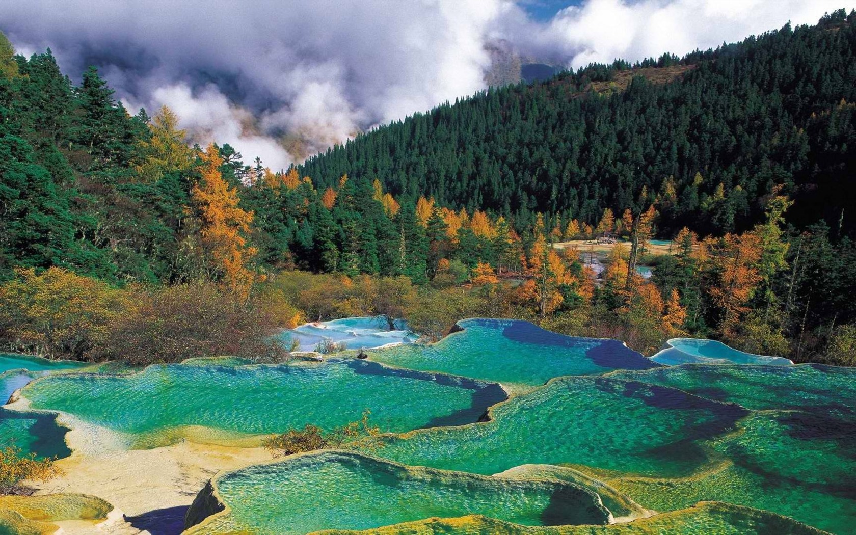 BioInfo Daily Trends: 2026-02-11