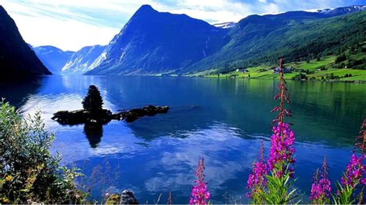 BioInfo Daily Trends: 2026-02-14