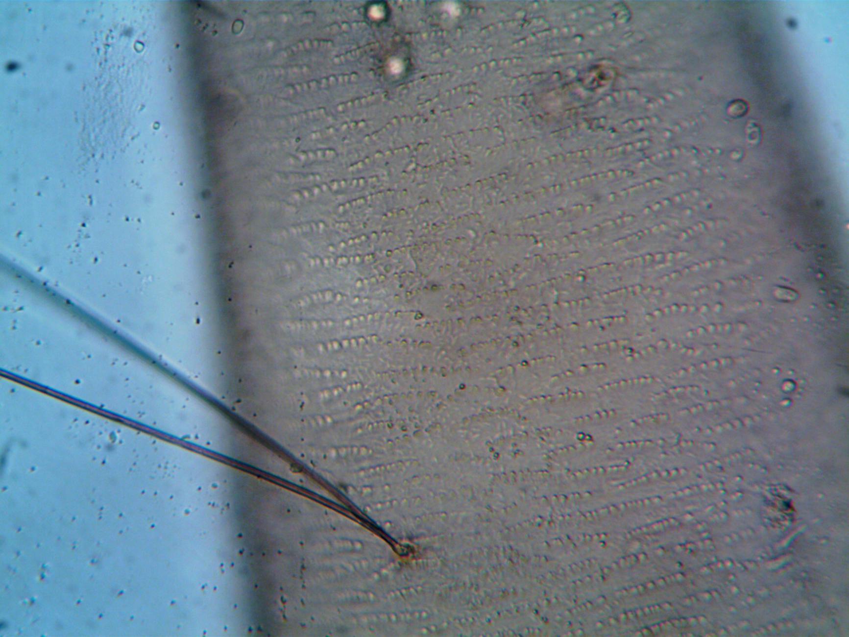 BioInfo Research Digest: 2026-02-24