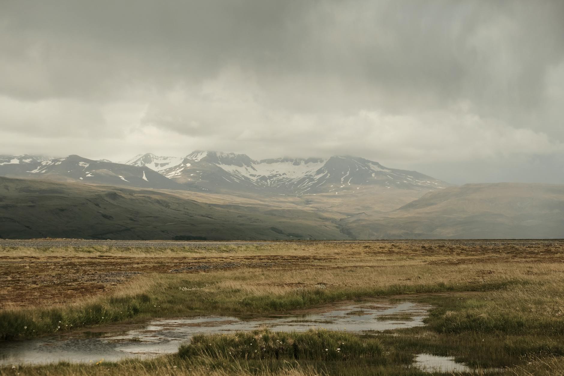 BioInfo Weekly Roundup: 2026-02-24