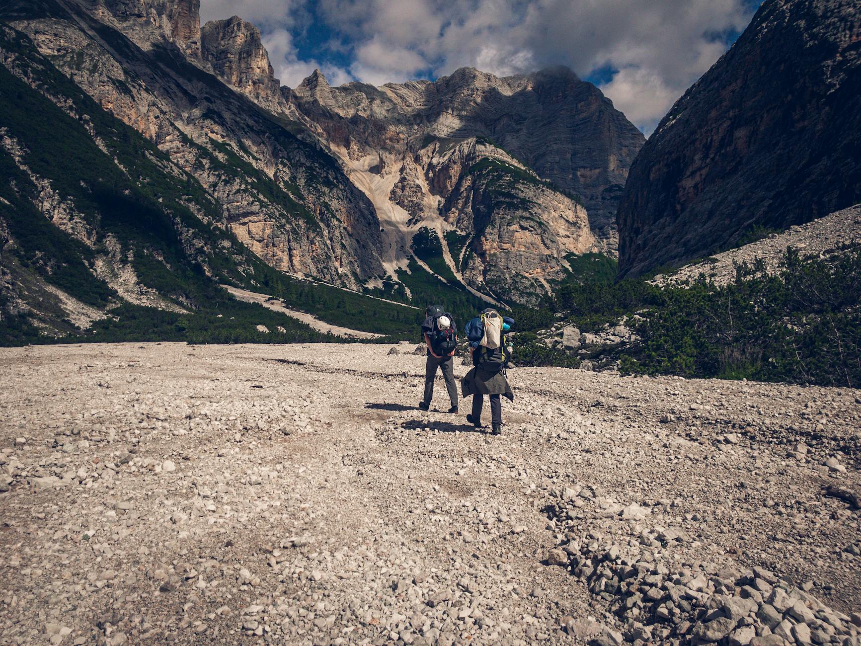 日报 (Daily Trends): 2026-03-01