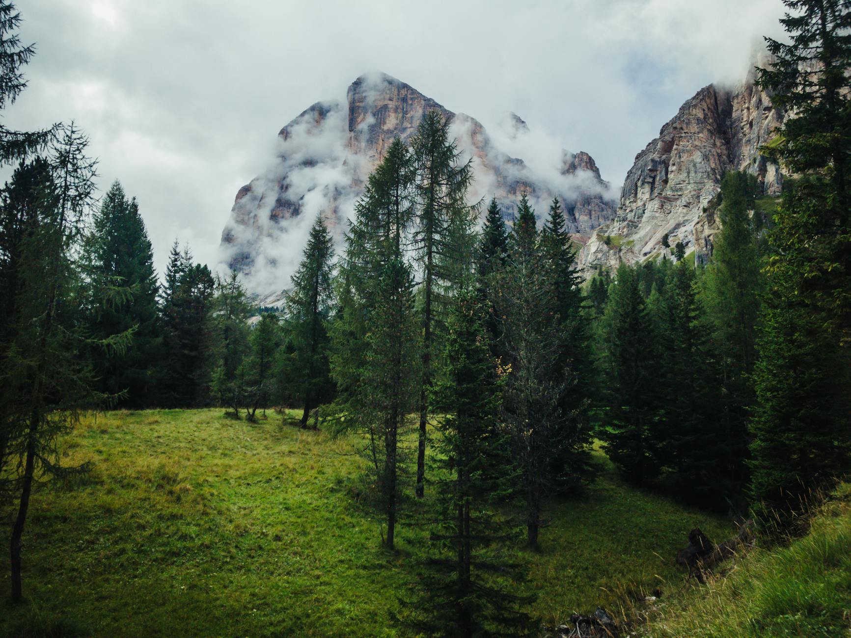 工具推荐 (Tool Spotlight): 2026-03-05