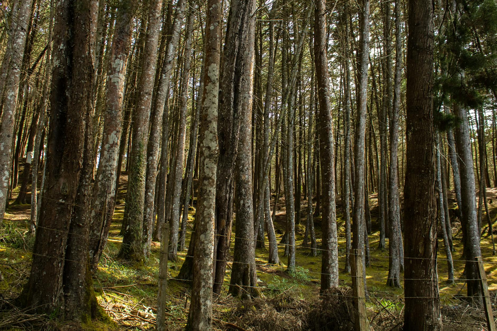 科研解读 (Research Digest): 2026-03-07