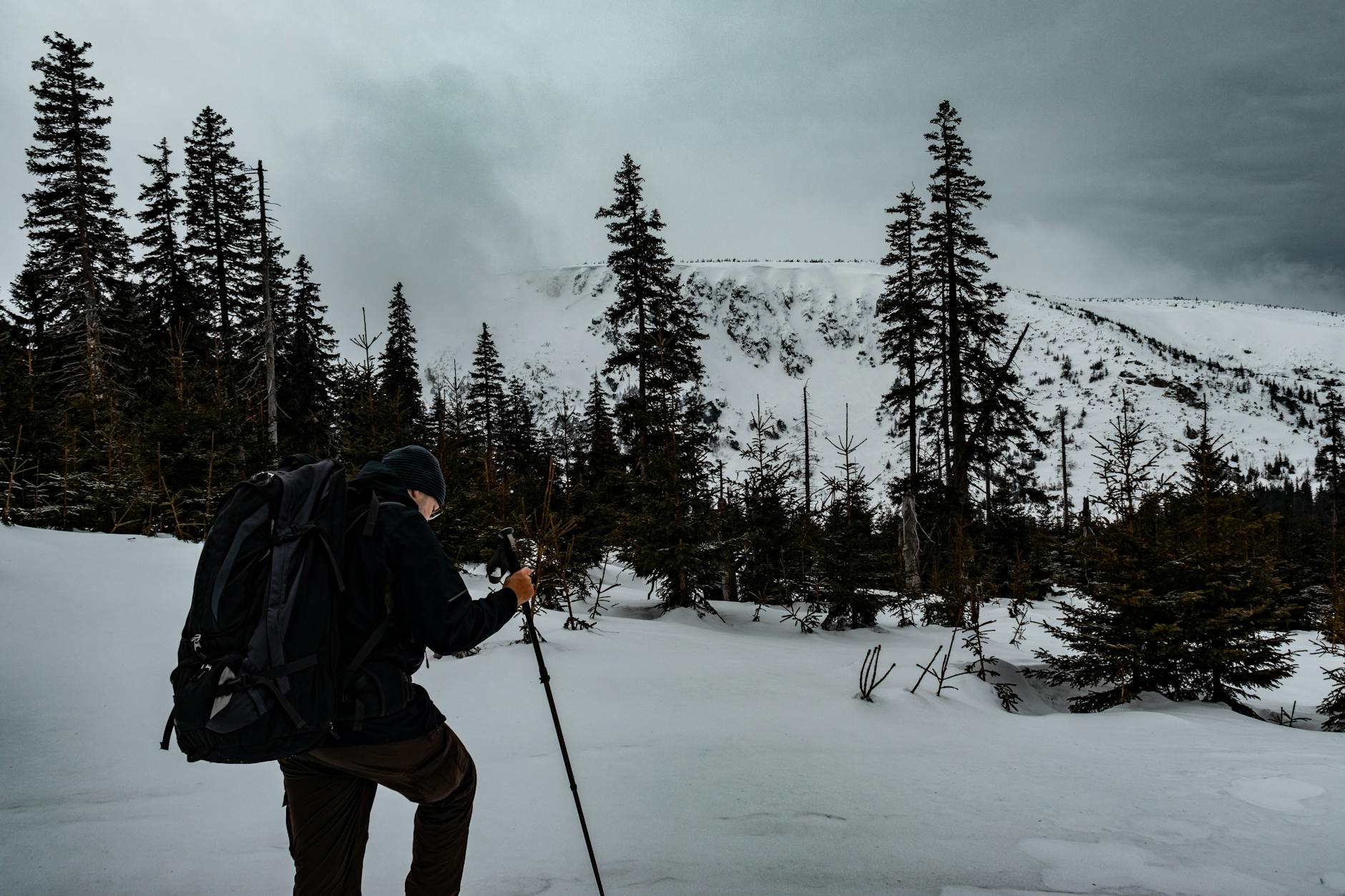 工具推荐 (Tool Spotlight): 2026-03-13