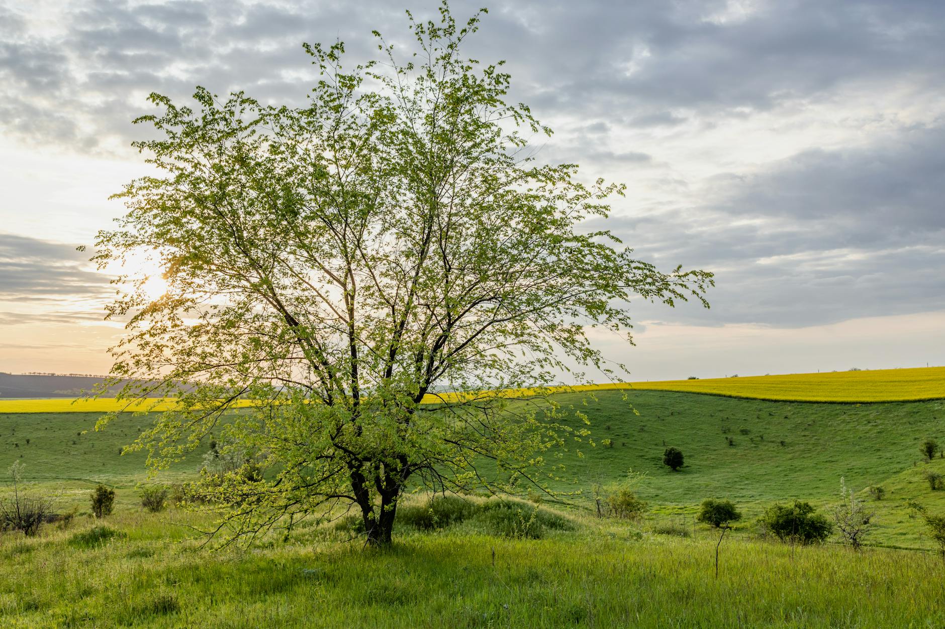 工具推荐 (Tool Spotlight): 2026-03-20