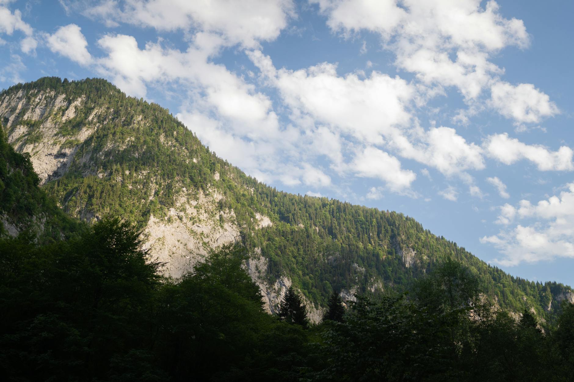 日报 (Daily Trends): 2026-03-22