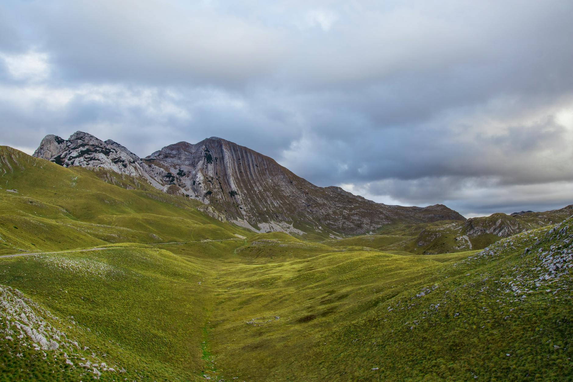 科研解读 (Research Digest): 2026-03-23