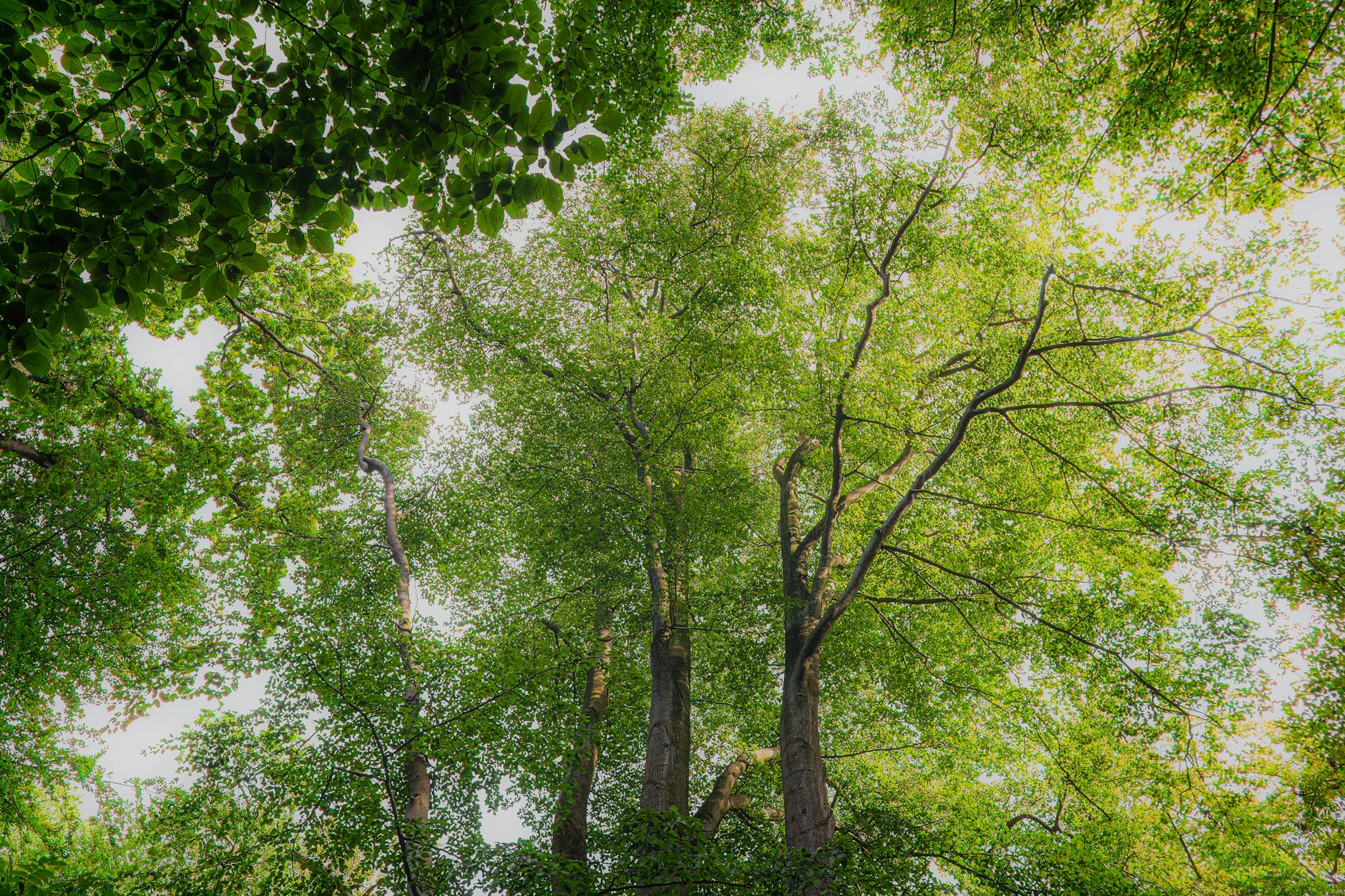 日报 (Daily Trends): 2026-03-26