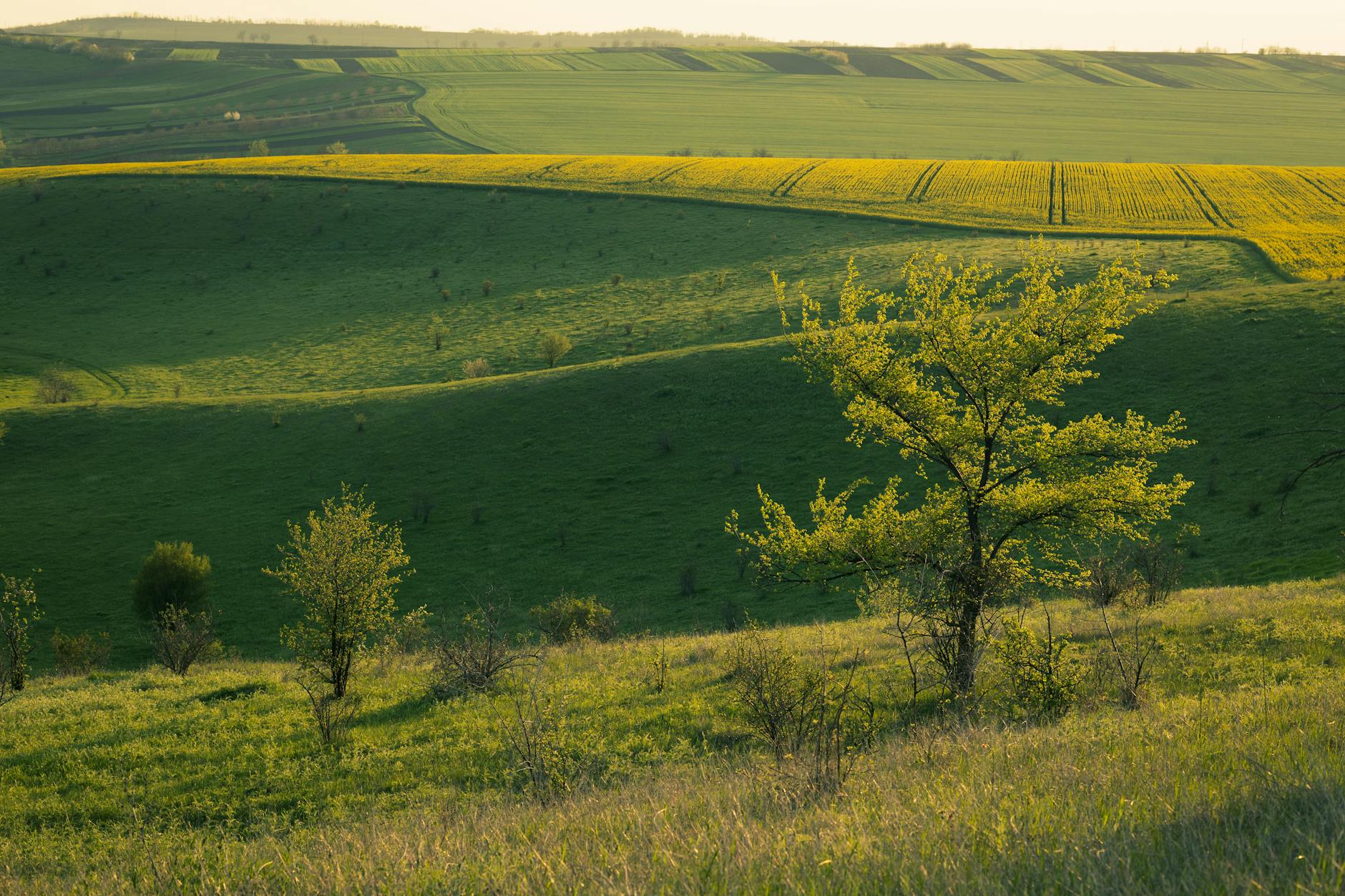 工具推荐 (Tool Spotlight): 2026-03-29
