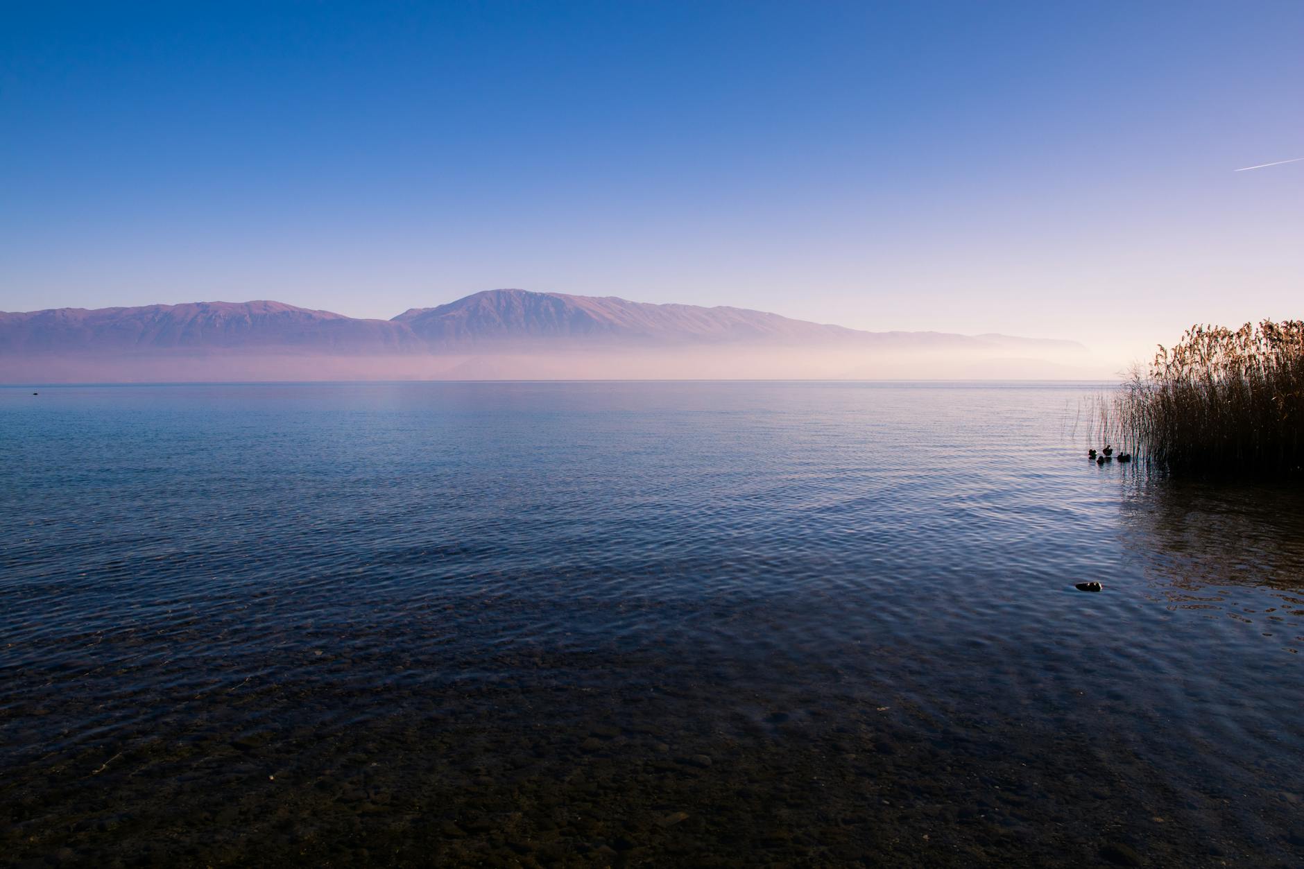 周报 (Weekly Roundup): 2026-04-06