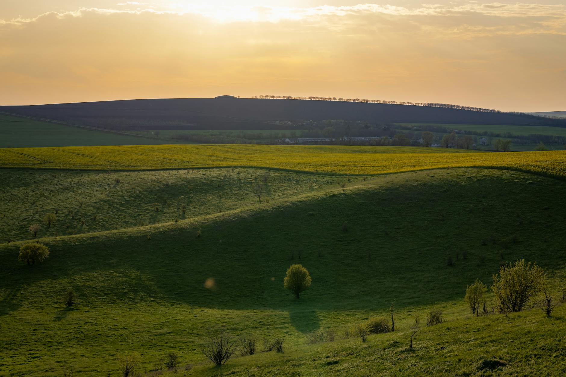 科研解读 (Research Digest): 2026-04-06