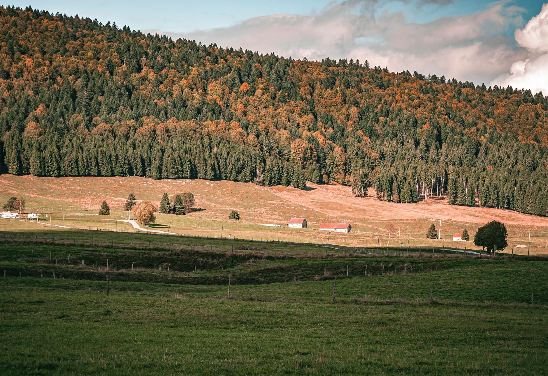 工具推荐 (Tool Spotlight): 2026-04-09