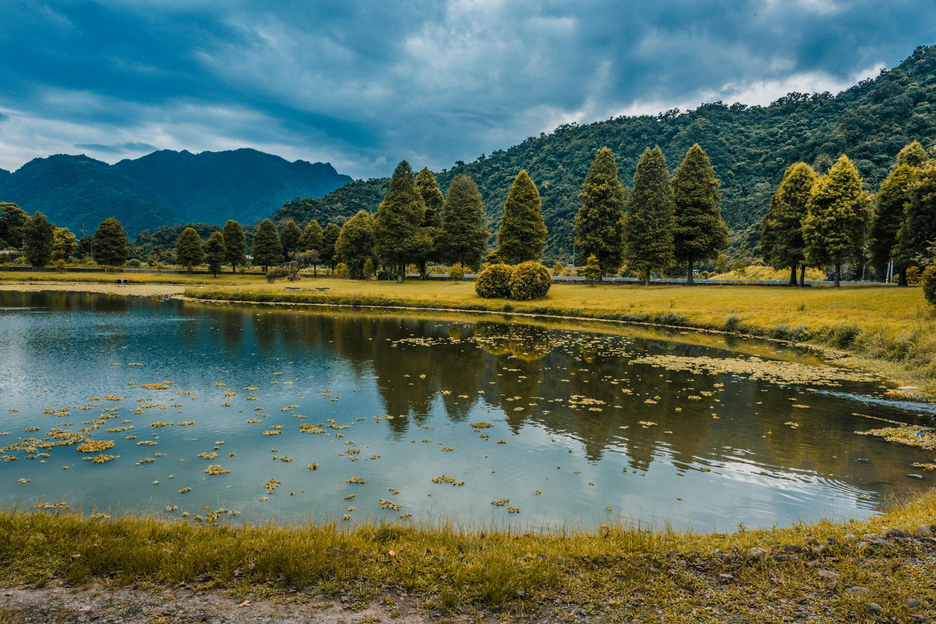 工具推荐 (Tool Spotlight): 2026-04-11