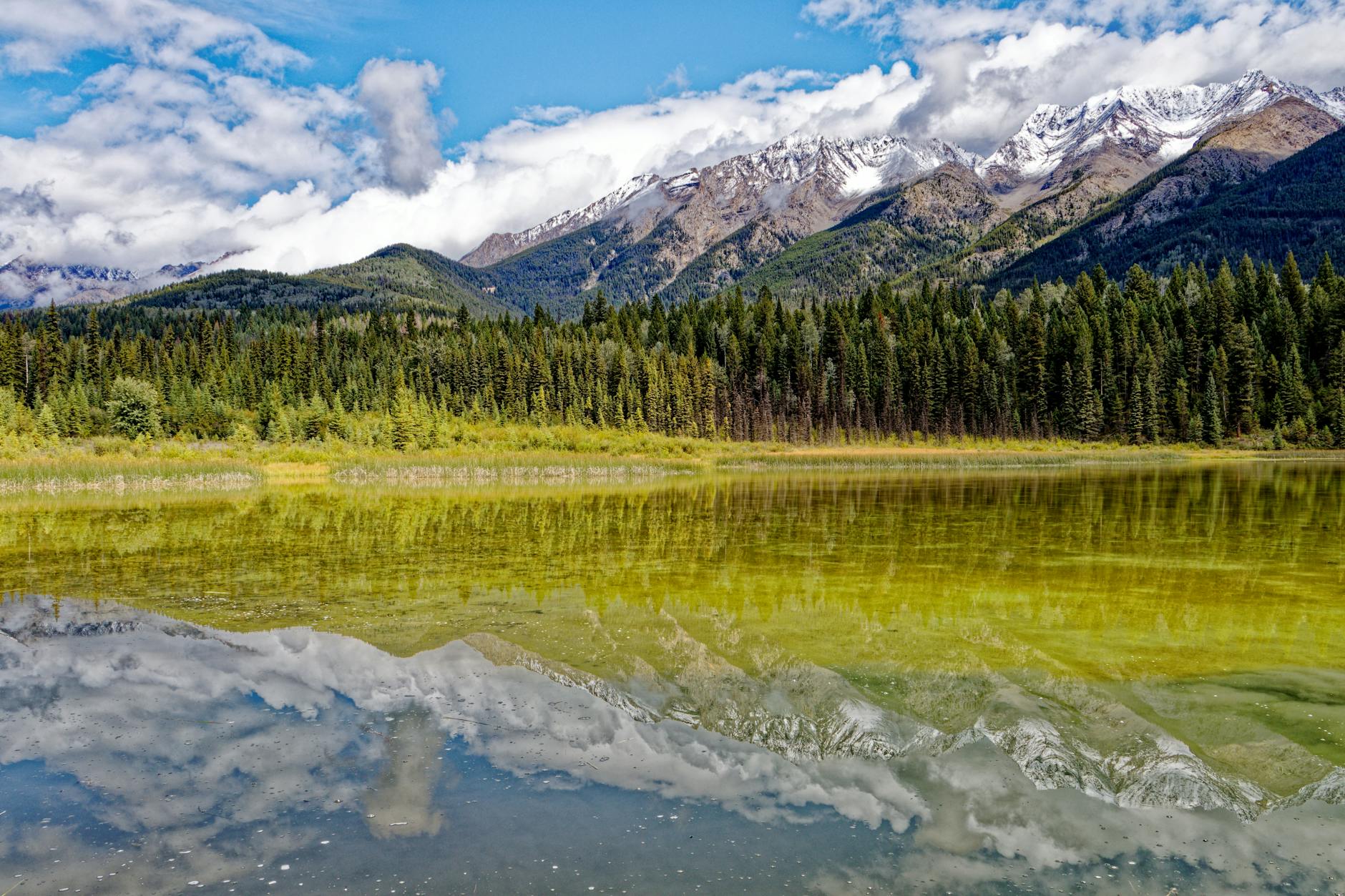 工具推荐 (Tool Spotlight): 2026-04-15