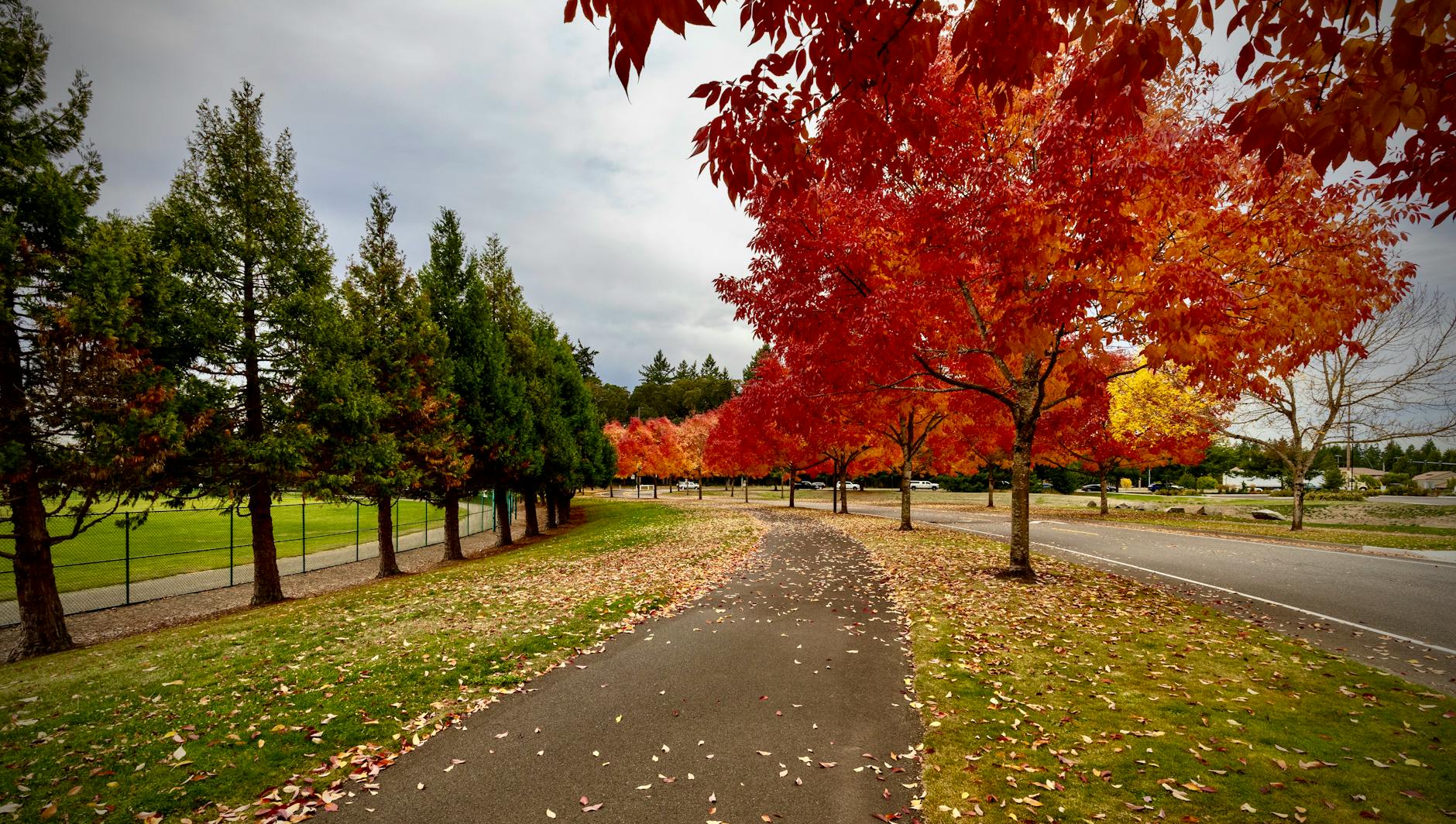 日报 (Daily Trends): 2026-04-16