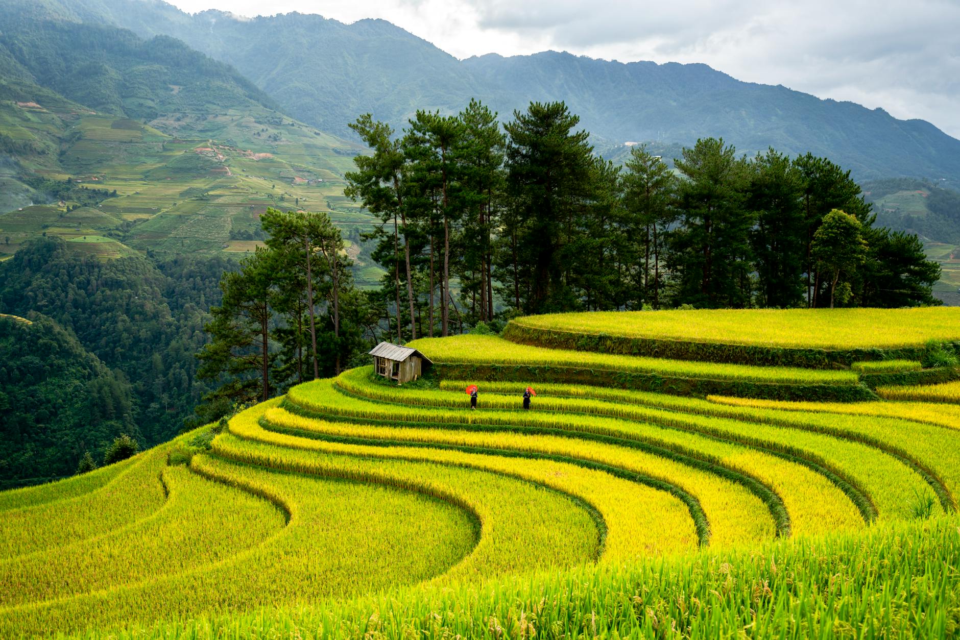 科研解读 (Research Digest): 2026-04-18