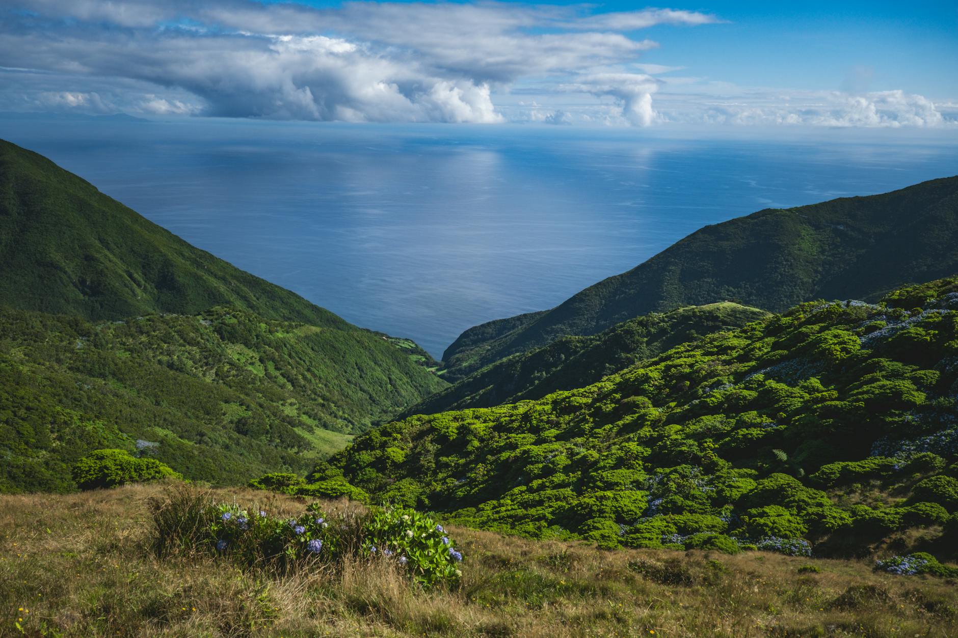 日报 (Daily Trends): 2026-04-19