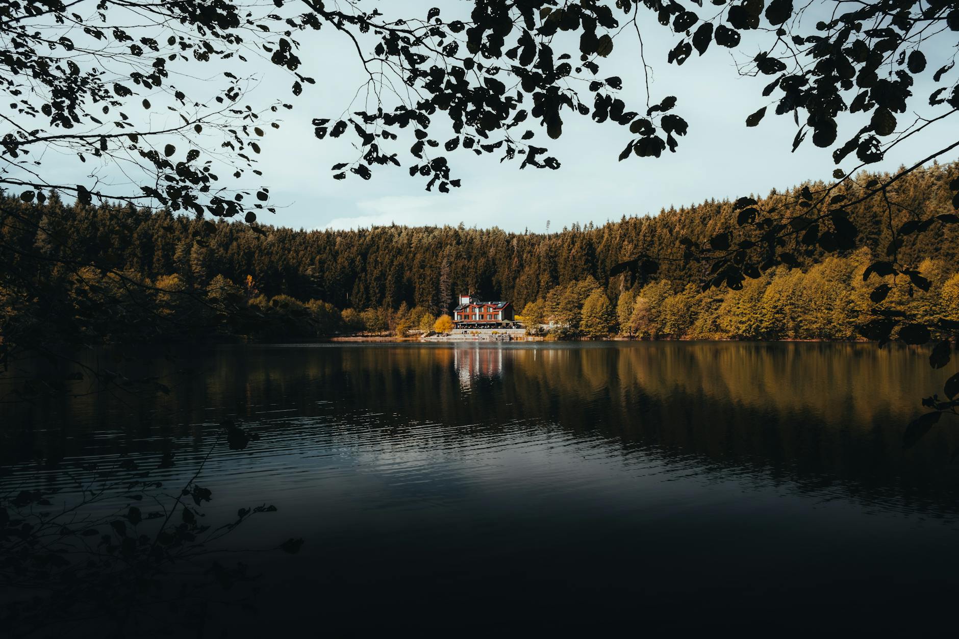 工具推荐 (Tool Spotlight): 2026-04-19