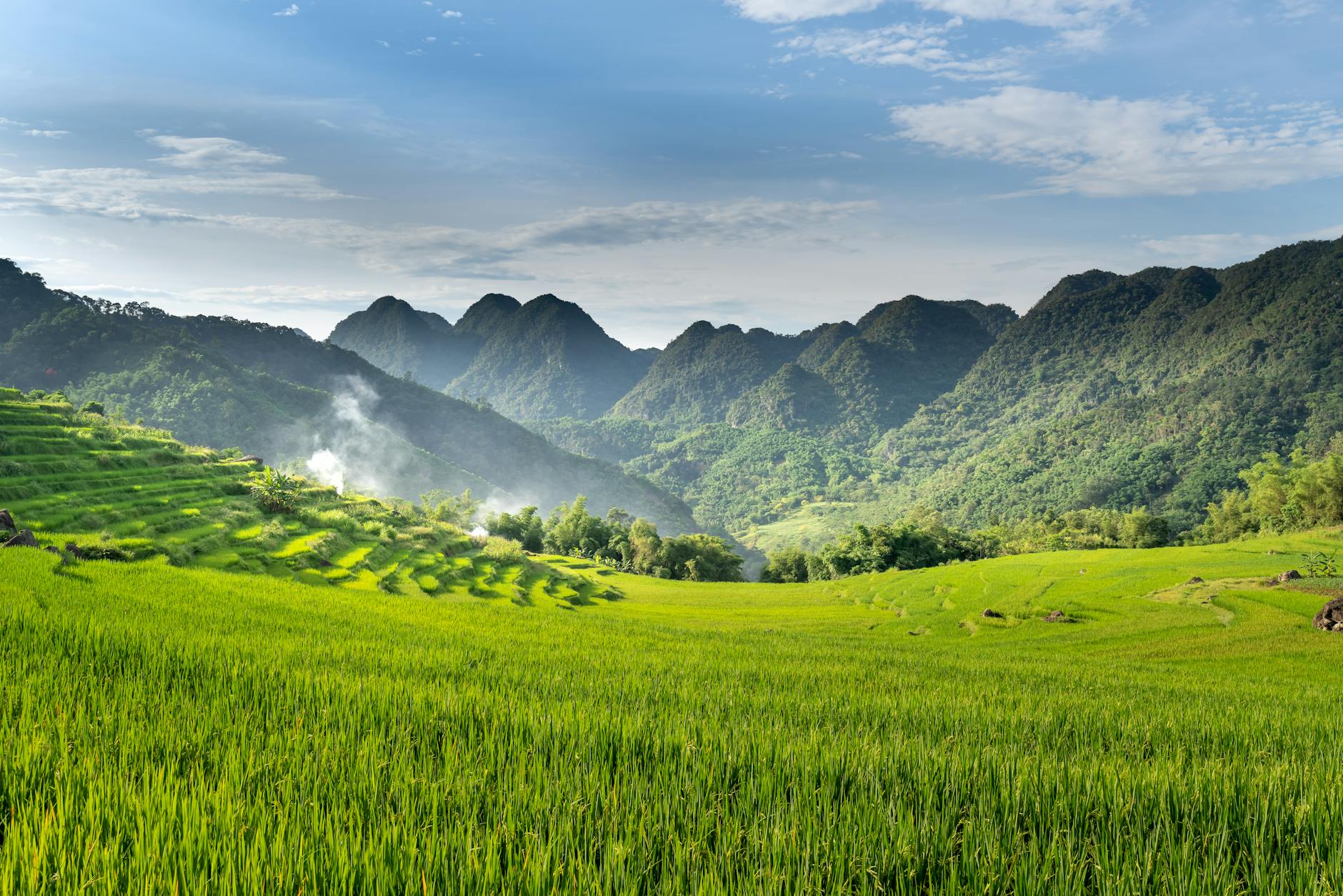 科研解读 (Research Digest): 2026-04-22