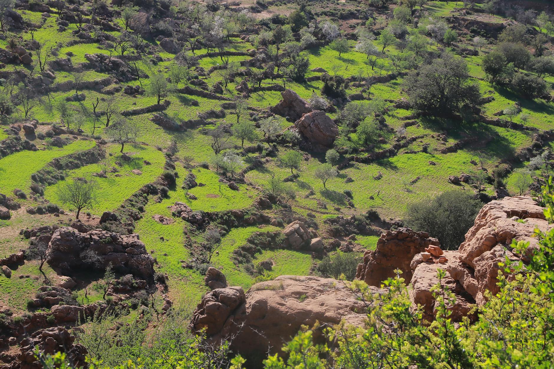 工具推荐 (Tool Spotlight): 2026-04-22